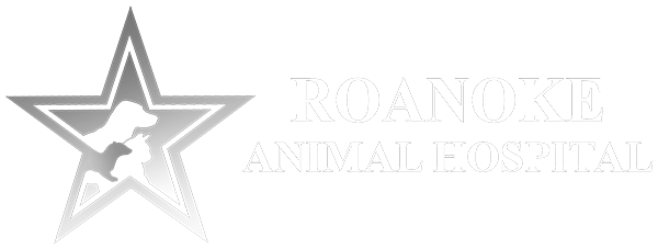 Roanoke Animal Hospital
